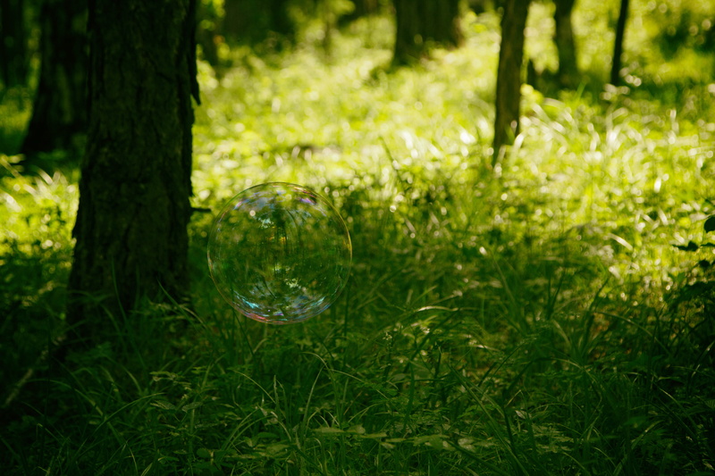 no people, natural, sanetwo, near, m, plant, sun light, day, glade, focus on foreground, green, grass, forest, vulnerability, beautiful, shaft, sphere