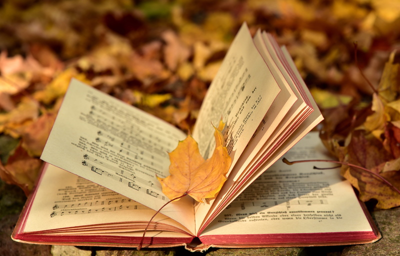 yellow, leaves, autumn, music, script, antiquariat, leaf, maple leaf, 5K, education, close-up, publication, plant part, book, fall foliage, open, change