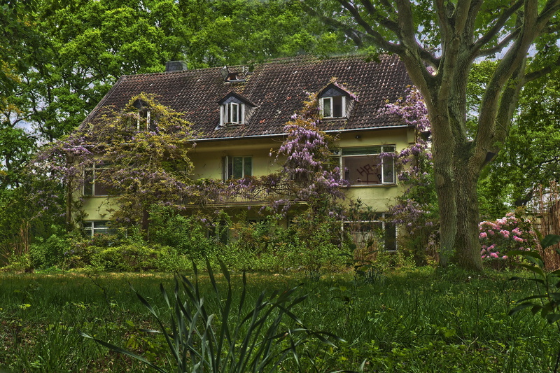 outdoors, spring, in the, home, old, out, front or back yard, run down, transience, grasses, pforphoto, weathered, forget, building exterior, dirt, house