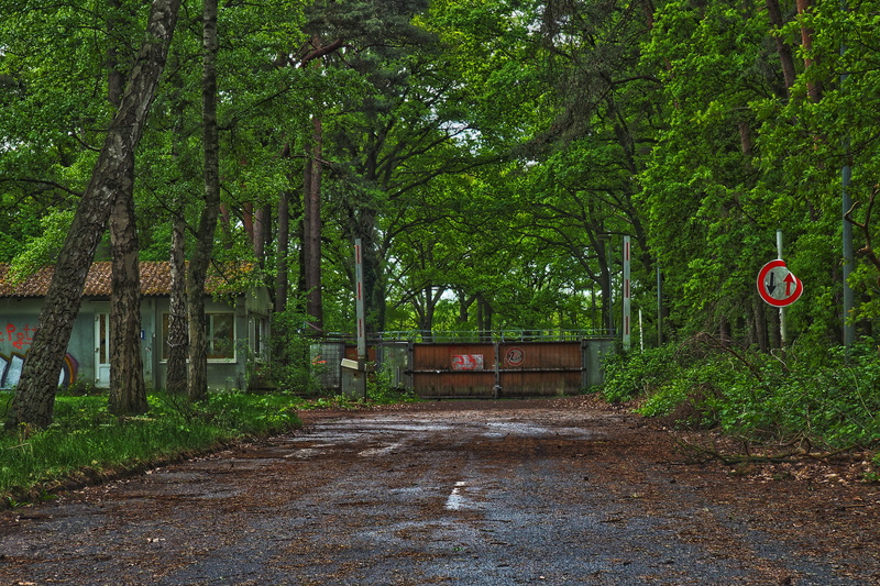 lapsed, ruin, growth, plant, no people, building, ailing, pforphoto, footpath, 4K, gateway, leaves, run down, decay, tree, lost place, architecture, home
