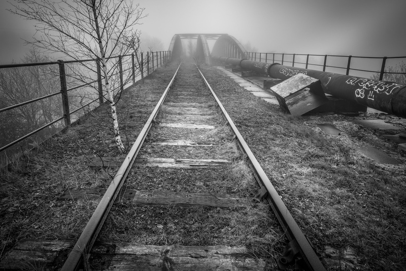 tree, past, day, fog, the way forward, rails, train, yorkshire, long, transportation, travel, nature, mood, unused, direction, sky, diminishing perspective