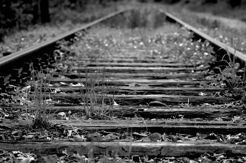 metal, woods, race track, rail transportation, outdoors, train, surface level, black and white, railway, the way forward, railway line, railroad track