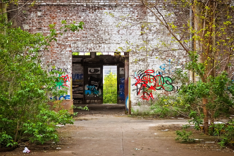 window, forget, void hall, flower, ruin, warehouse, track climb, lost places, transience, factory building, entrance, railway depot, past, day, shabby