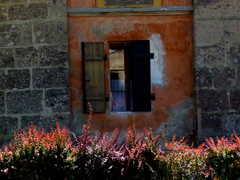 nature, low angle view, home, ruin, old building, flowering plant, day, architecture, passed, flower, building, weird, decay, break up, Old, run down, house