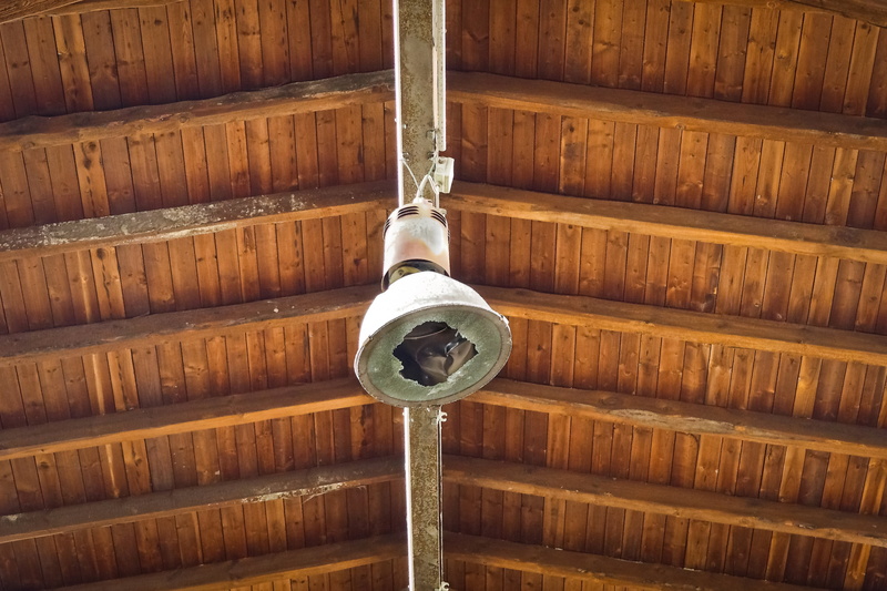 abandoned, wall - building feature, built structure, wheel, forget, brown, transient, ceiling, graffiti, lapsed, goods station, old factory hall, railway depot