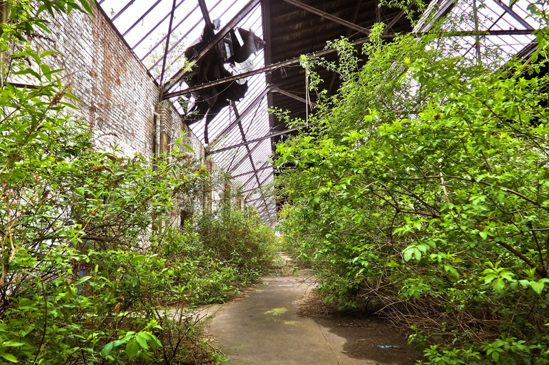 old factory, dilapidated, overgrown, abandoned, the way forward, stainless, no people, built structure, Lost, train hall, void hall, transient, footpath