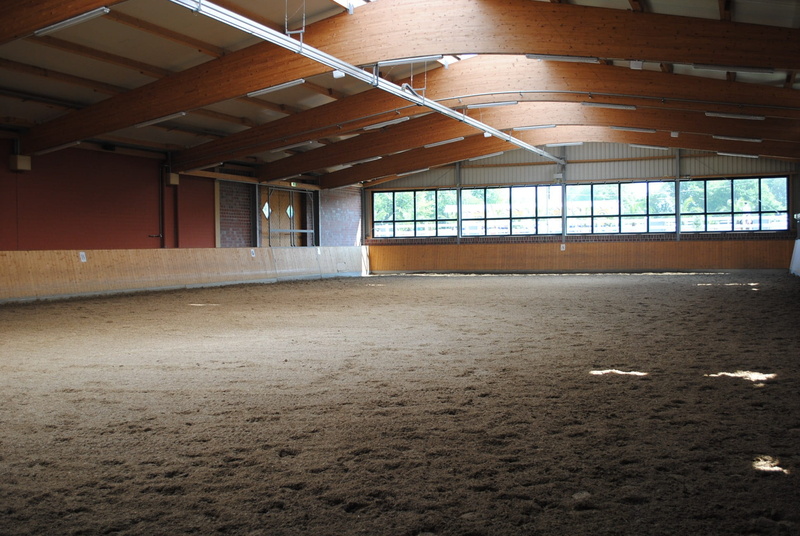 indoors, no people, Building, reithalle, absence, concrete, abandoned, warehouse, stall, built structure, day, 1080P, architecture, window, Training Ground