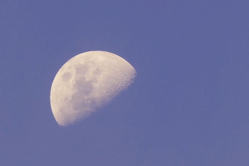 tranquil scene, scenics - nature, moon, blue, 5K, astronomy, outdoors, half moon, space, space and astronomy, beauty in nature, day, crate, sky, nature