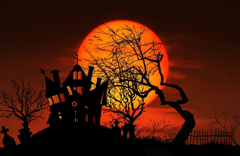 decor, nature, Moon, Midnight, Halloween, sky, sunset, dramatic sky, belief, built structure, Holidays, religion, Full, orange color, bare tree, plant