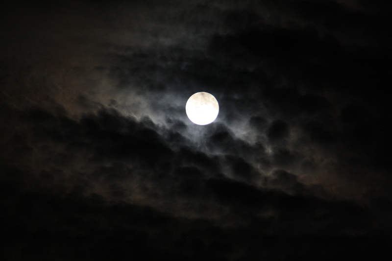 overcast, 4K, luna, beauty in nature, low angle view, night, astronomy, gespenstig, natural phenomenon, nature, celestial body, planetary moon, sky, full moon