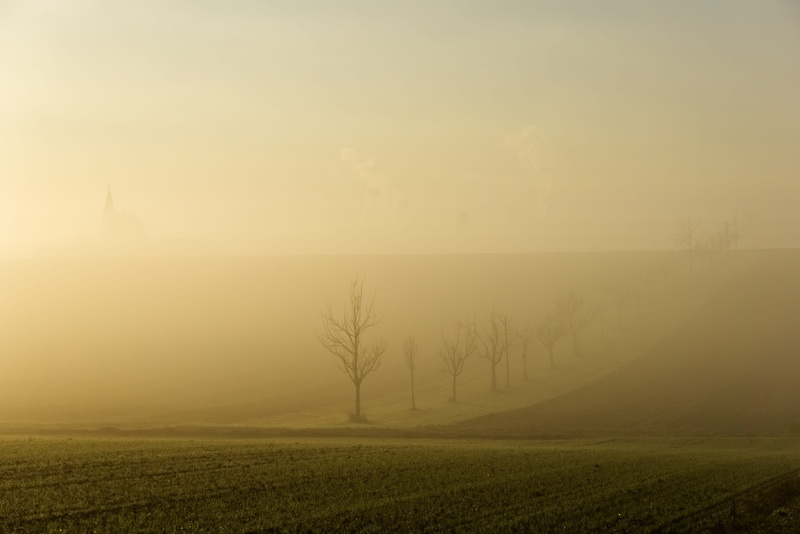 sky, idyllic, tree, land, silhouette, non-urban scene, mystical, tranquil scene, twilight, backlighting, atmospheric, tranquility, mood, dark, fog, no people