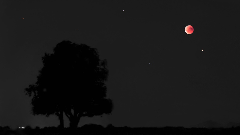 nature, moon, mystical, tree, mars, copy space, plant, lunar eclipse, full moon, dark, gespenstig, shadow, scenics - nature, 2K, moonrise, tranquility