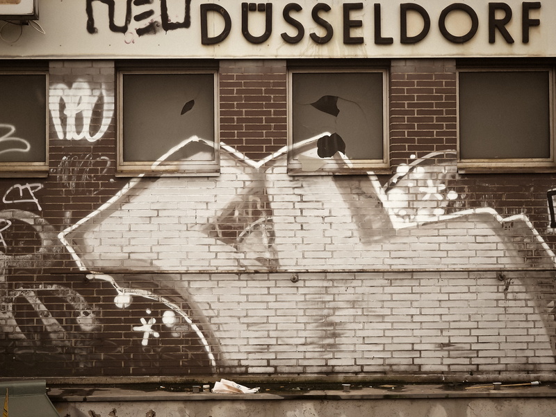 group of animals, flying, animal, window, graffiti, animal themes, sign, vertebrate, düsseldorf, dusseldorf-zoo, day, wall - building feature, decay, 4K