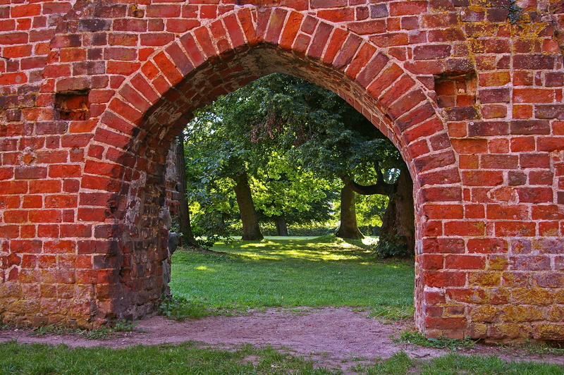 wall - building feature, entrance, old, graphic, texture, arched, nature, tree, structure, middle ages, window, leafed, leave, the past, historically, bricks