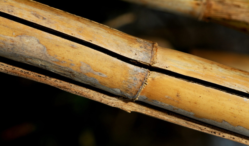 rusty, old, brown, high angle view, Nature, indoors, 4K, Cylindrical, no people, Cane, girder, outdoors, close-up, Plants, metal, stems cylindrical, black color