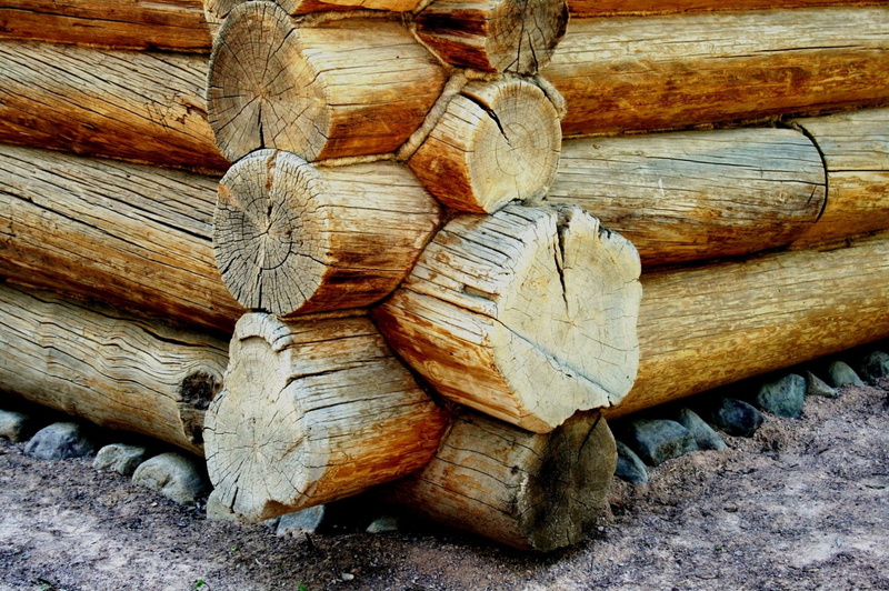 Joins, abundance, lumber industry, deforestation, Wood, brown, full frame, outdoors, tree, close-up, forest, wood - material, Log, nature, large group of objects