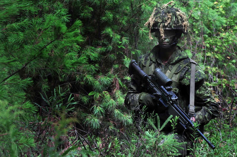 4K, army, soldier, army soldier, military, rifle, land, gun, special forces, tree, green color, uniform, camo, machine gun, military uniform, scope, U.S. Army
