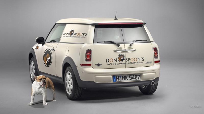 colored background, car, indoors, animals, gray, Mini Cooper, MINI Cooper Clubman, gray background, Mini Clubvan, mammal, studio shot, full length, domestic animals