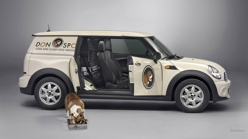 road, transportation, land vehicle, dog, 1080P, one person, MINI Cooper Clubman, Mini Clubvan, wealth, car, adult, studio shot, animals, mode of transportation