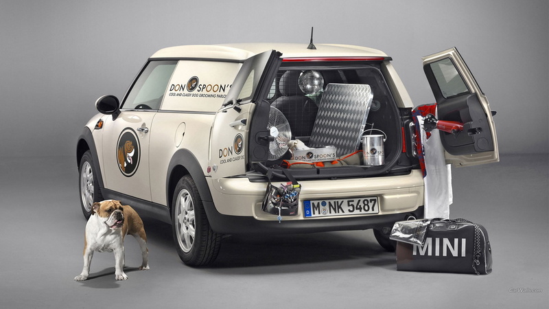 1080P, Mini Cooper, MINI Cooper Clubman, vehicle, animals, dog, car, Mini Clubvan