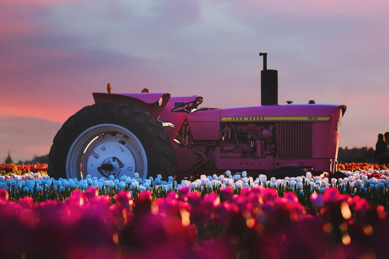 sunset, john deere, purple, beauty in nature, crowd, machinery, stage, landscape, farm, photography, freshness, mode of transportation, 4K, field, flowering plant