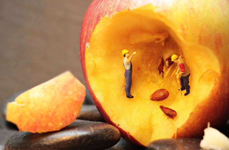 nature, man, red, yellow, figure, 4K, funny, no people, wellbeing, figures, mite, food, leaf, men, model construction figure, temptation, creative, indoors