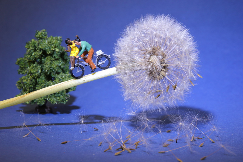 art, sport, miniature figures, lüttje, cycling, creative, small, one person, lovers, positive emotion, modelleisenbahn figure, love, dandelion, figurine