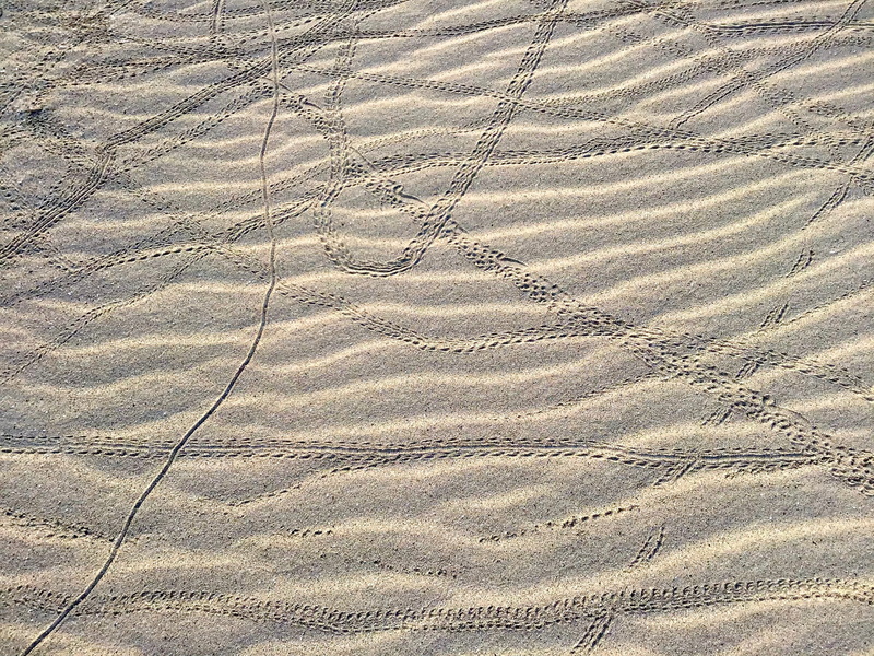 ground, high angle view, crab, landscape, soil, sunlight, blue, machine, land, drive shaft, full frame, tranquility, no people, white, rug, sand dune, pattern