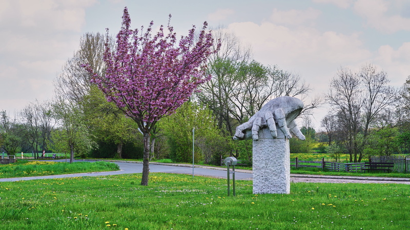 mite cheese, monument, flowering plant, landmark, grass, plant, sky, field, outdoors, cheese, tree, day, burgenlandkreis, springtime, art and craft, park - man made space