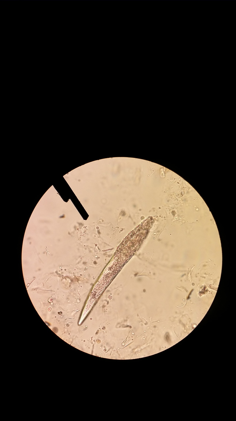 no people, single object, number, circle, high angle view, finance, time, close-up, 4K, directly above, studio shot, currency, demodex, science, geometric shape