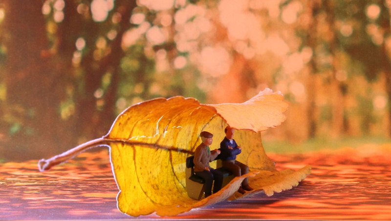 5K, plant part, tree, miniature, lüttje, bench, eventide, miniature figure, autumn, men, women, entertainment, yellow, sitting, model construction figure