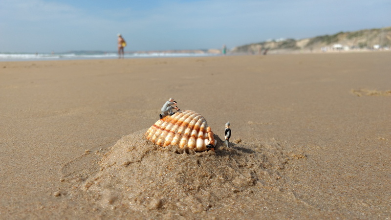 miniature figures, model, animal wildlife, h0, sunlight, coast, sky, 1 87, marine, beauty in nature, water, land, holiday, animal themes, surface level