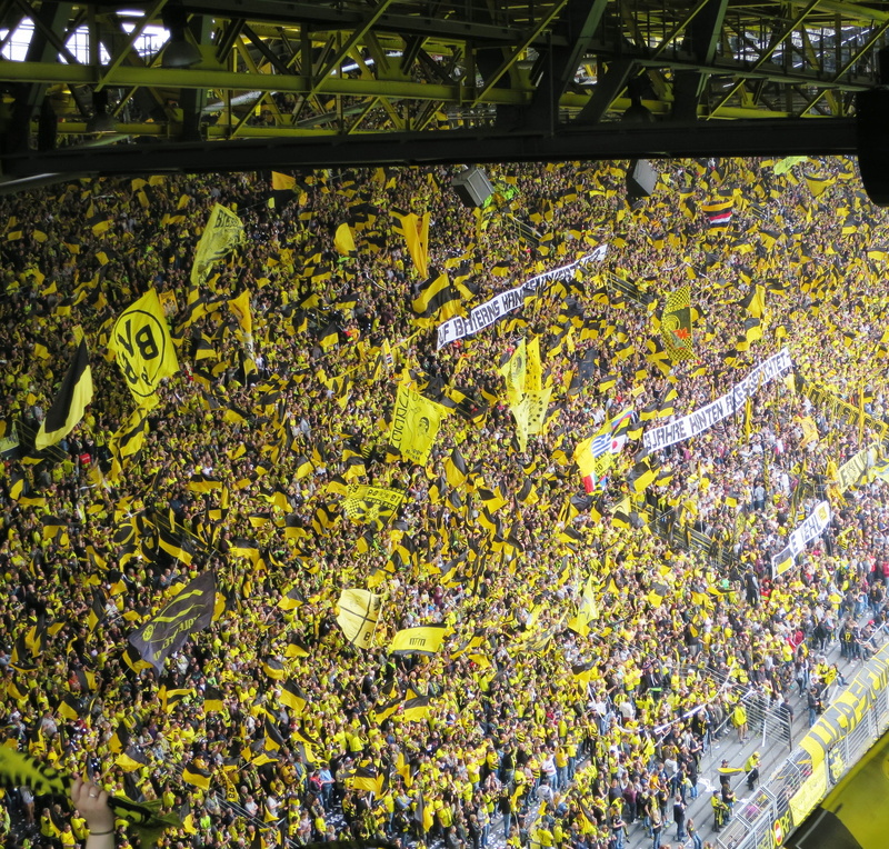 beauty in nature, 2K, no people, flowering plant, viewers, nature, fans, dortmund, leaf, growth, low angle view, yellow, yellow wall, vulnerability, football stadium