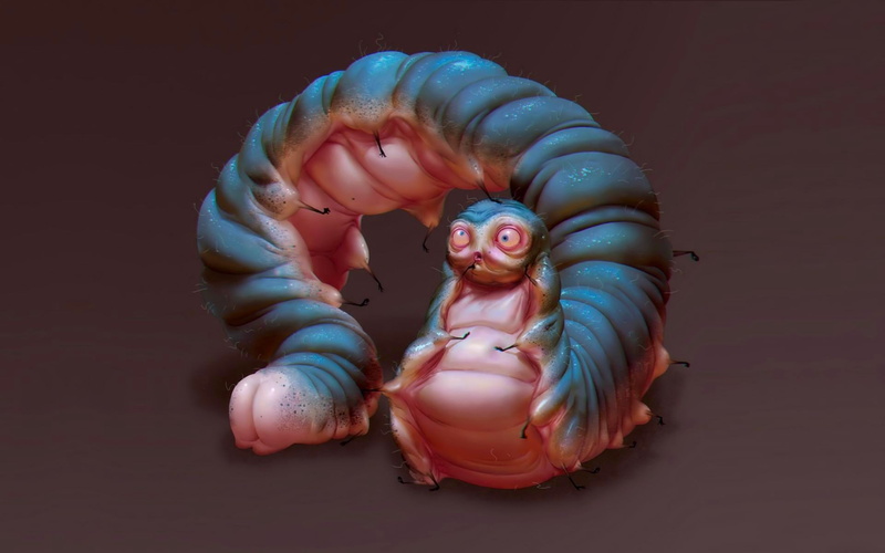 creativity, animal themes, animal representation, invertebrate, octopus, close-up, craft, sculpture, nature, CGI, 1080P, 3D, no people, single object