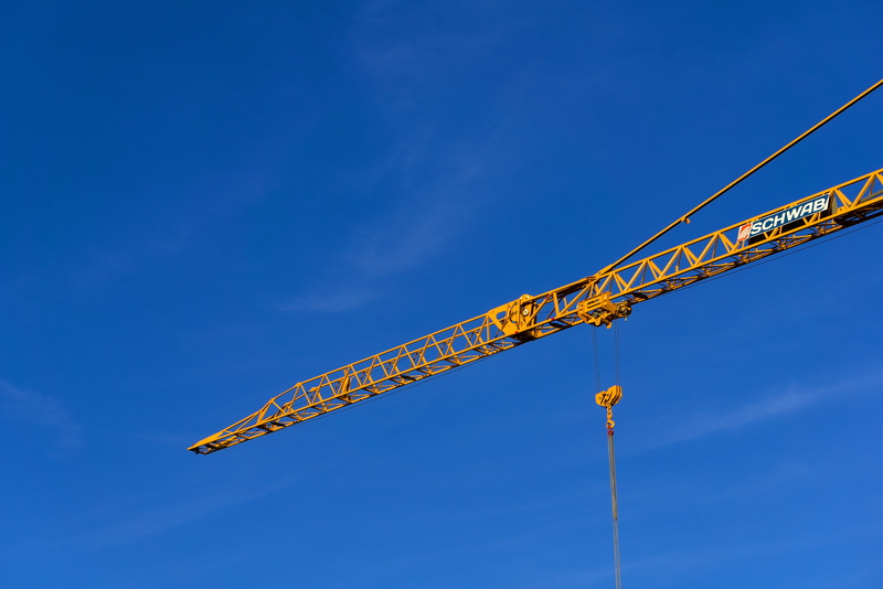 animal wildlife, copy space, tower Crane, blue, day, machinery, construction equipment, industry, load lifter, arts culture and entertainment, clear sky