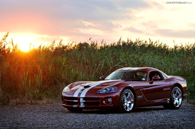 red cars, Dodge, environment, red, retro styled, plant, motor vehicle, landscape, sky, sunlight, field, cloud - sky, mode of transportation, land, no people
