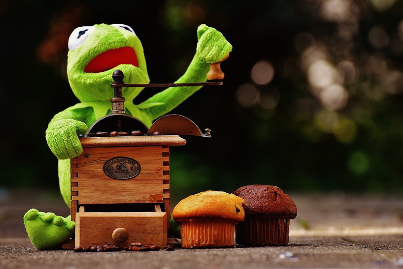 healthy eating, focus on foreground, freshness, grinder, figure, nature, cute, toy, green color, food, wellbeing, soft toy, no people, coffee beans, wood - material