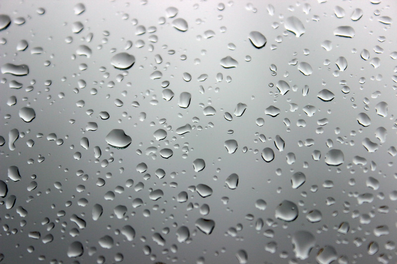 a drop of, drop of rain, transparent, wet, rain, glass - material, window, 5K, full frame, drops, drops of water, day, drop, macro, low angle view, rain drops