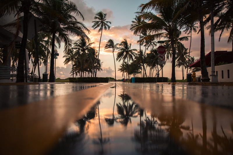 scenics, hotel, water, sunrise, tree, coconut Palm Tree, coastline, no People, tropical, tropical Climate, road, 5K, cloud, tourist Resort, trees, vacations