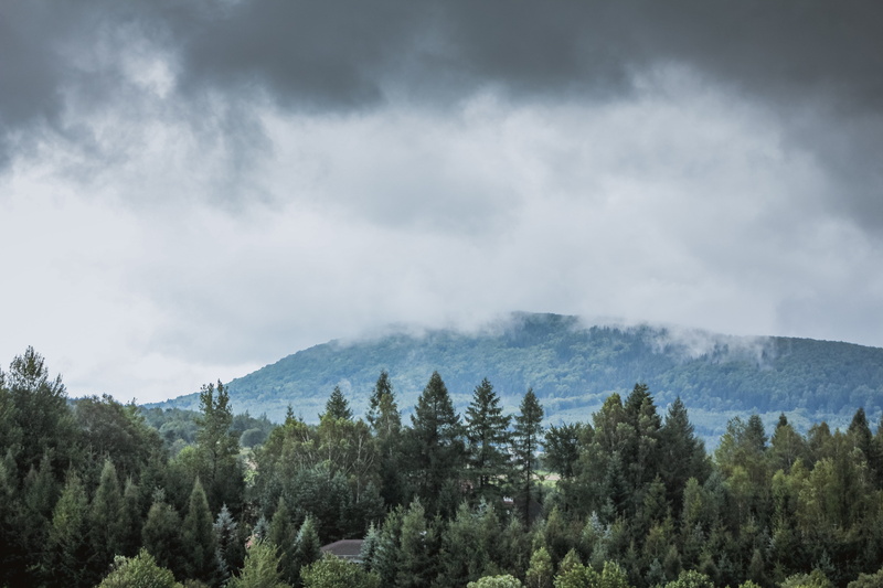 gray, tranquil scene, sky, land, mountains, forest, cloud - sky, plant, leaf, outdoors, nature, mountain peak, tree, tranquility, day, 5K, power in nature