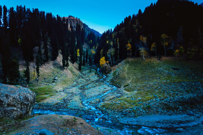 5K, outdoors, colourful, wide angle, sky, pine tree, beauty in nature, yellow trees, plant, environment, late evening, landscape, scenics - nature, dark landscape