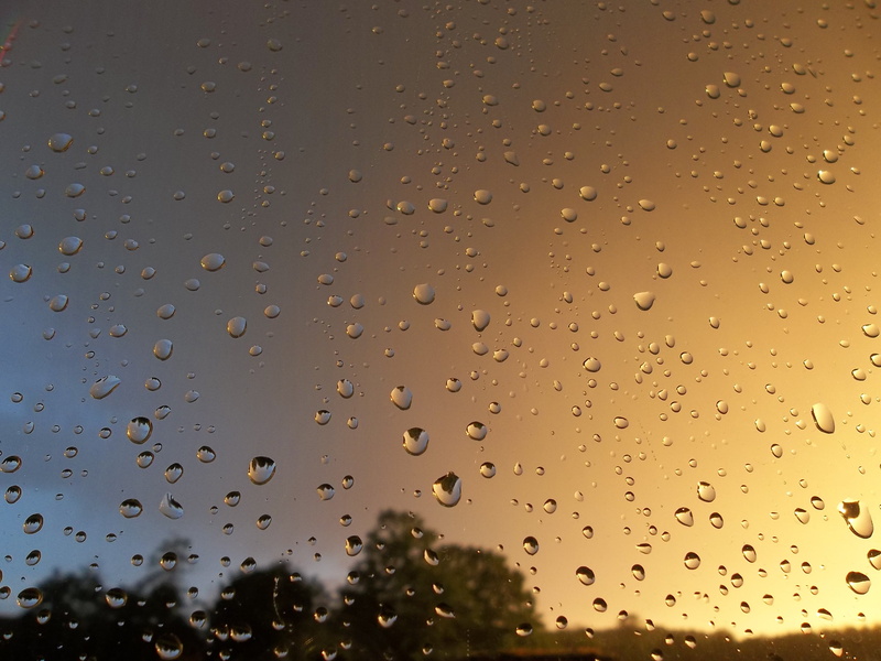 nature, sky, water, clouds, drop, sunny, window, after the rain, dark clouds, rain, no people, forest, close-up, glass - material, summer, wet, indoors