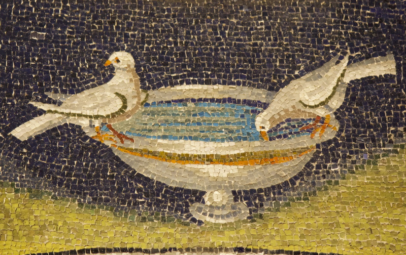 outdoors, unesco, no people, animals in the wild, 4K, byzantine, mosaic, day, humanity, animal wildlife, high angle view, bird, architecture, early christian