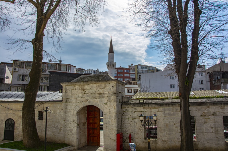 tree, day, üsküdar, beautiful, dome, cami, built structure, cloud - sky, 5K, turkey, place of worship, spirituality, nature, branch, islam, peace, landscape