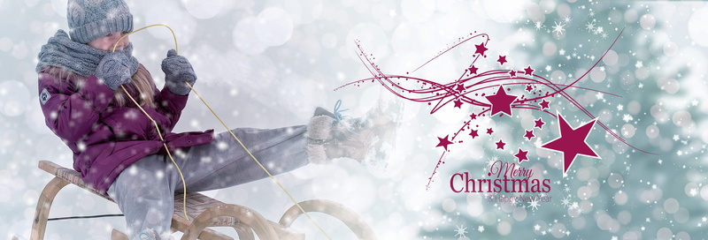 sleigh ride, cold temperature, christmas, slide, celebration, family fast, people, structure, riding, boy, header, feast of love, adult, holiday, person