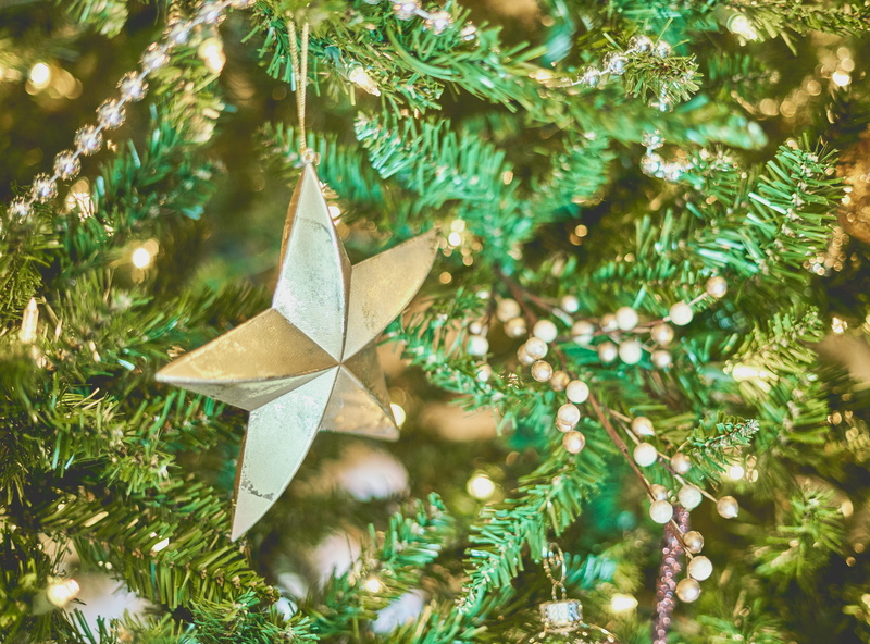 christmas tree, close-up, green, ornament, tree, holiday, focus on foreground, christmas, paper, decor, green color, star, conifer, festive, christmas decoration