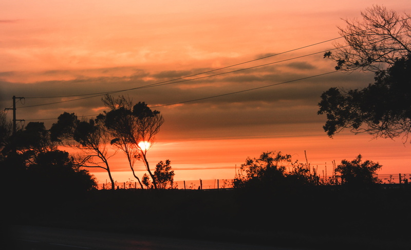 tranquil scene, land, tree, orange color, landscape, sunset, road, casablanca, no people, non-urban scene, 4K, morocco, idyllic, plant, rabat, tranquility