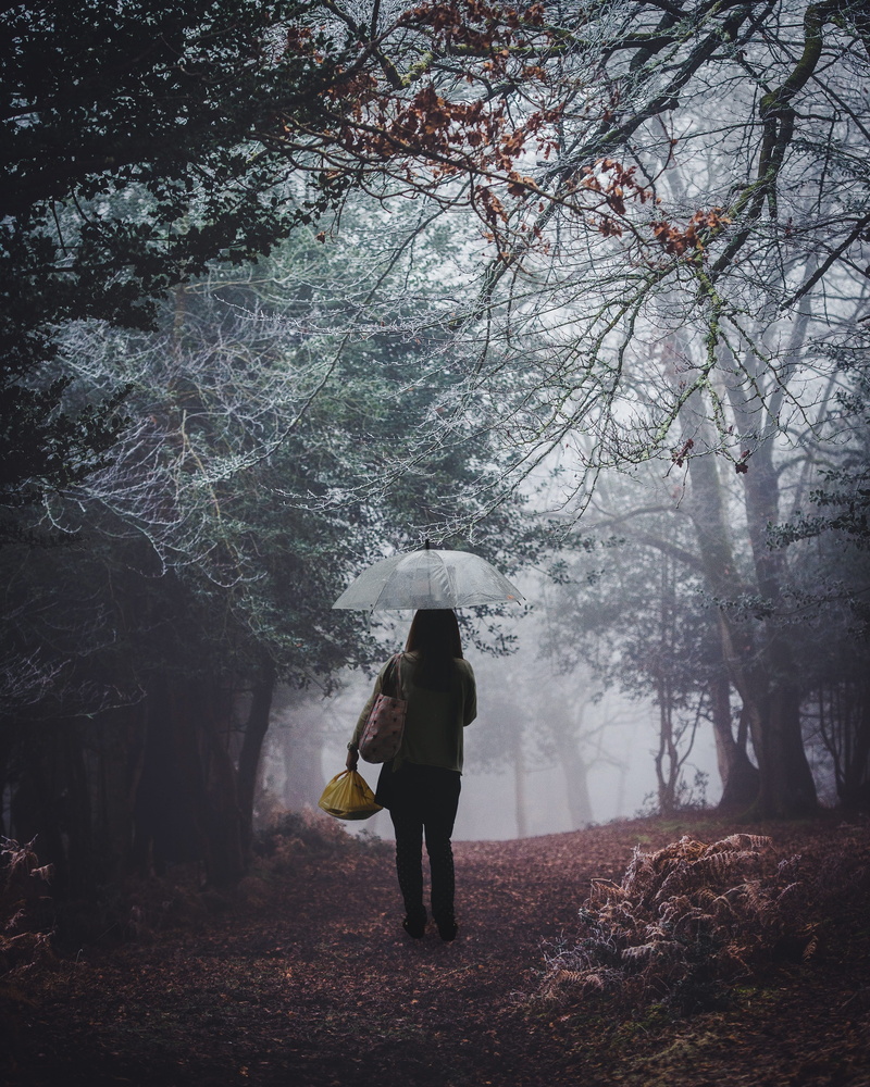 girl, 4K, nature, alone, outdoors, winter, land, standing, people, one person, forest, tree, jungle, rear view, cold temperature, beauty in nature, plant
