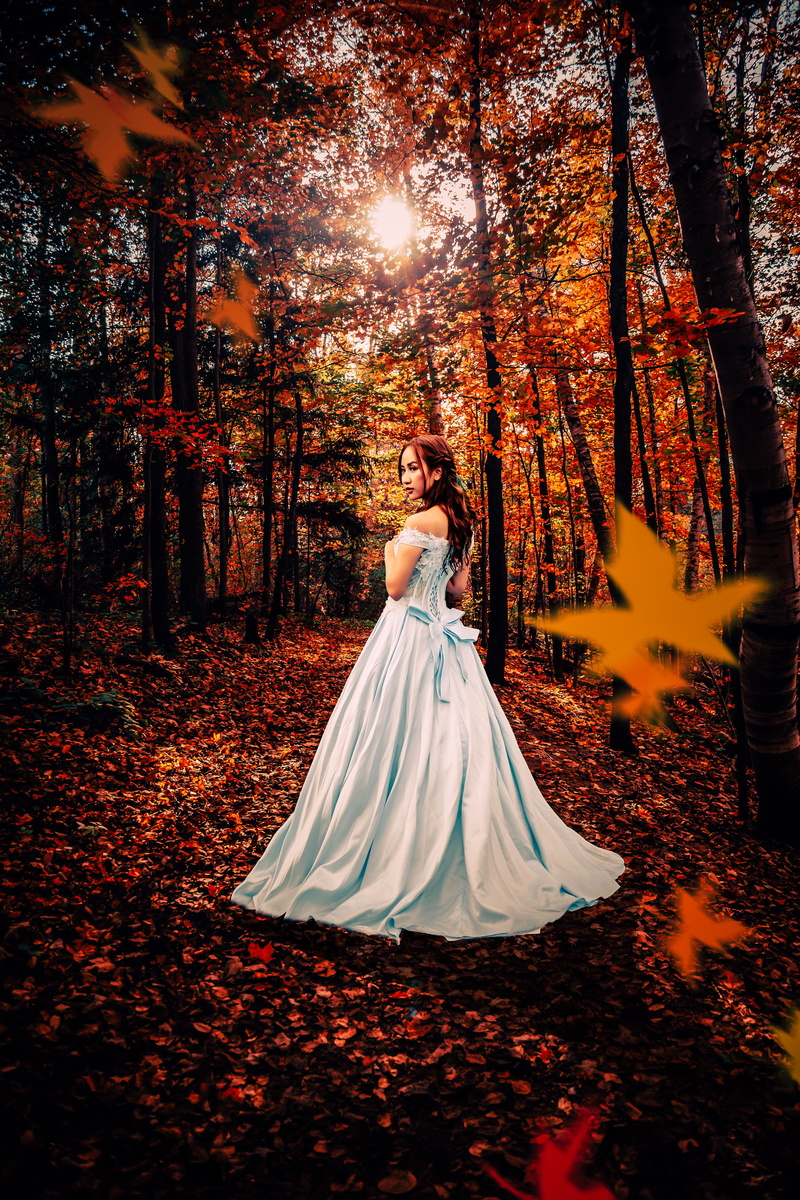 girl, woodland, autumn, land, romantic, adult, change, bride, tree, outdoors, celebration, leaf, fashion, real people, model, dream, one person, leaves