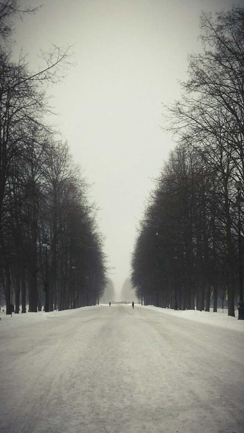 outdoors, road, the way forward, scenics - nature, sky, day, winter, cold temperature, clear sky, no people, frost, 5K, nature, study, tranquility, plant